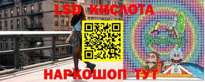 винт Майкоп